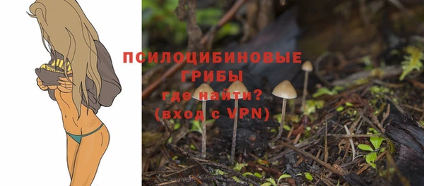 сатива Нея