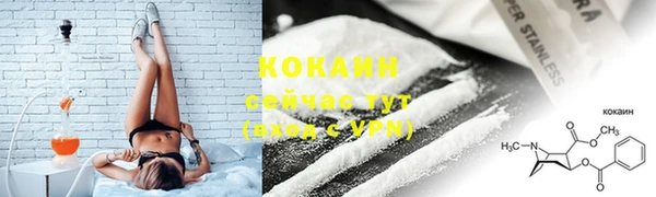 сатива Нея