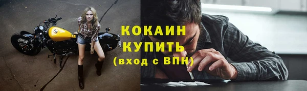сатива Нея